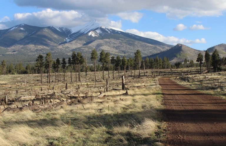 Open country and mountain terrain